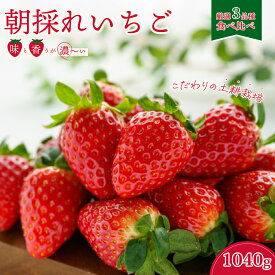 【ふるさと納税】【2026年/先行予約】いちご3種 食べ比べセット 4パック×1箱 ｜ 苺 イチゴ いちご 食べ比べ 大粒 土耕栽培 厳選 フルーツ 新鮮 朝採れ 糖度 酸味 バランス 果肉 健康 果物 デザート 贈り物 食べ比べ 人気 苺 イチゴ いちご 茨城県 常陸太田 檜山いちご園