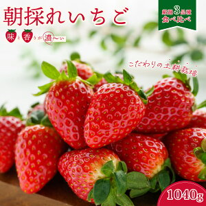 yӂ邳Ɣ[Łzy2026N/s\z3 Hה׃Zbg 4pbN×1 b  C`S  Hה 嗱 yk͔| I t[c VN ̂ x _ oX ʓ N ʕ fU