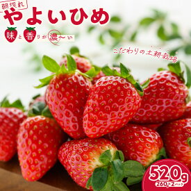 【ふるさと納税】いちご やよいひめ 選べる内容量 いちご2パック/4パック × 1箱｜ 檜山いちご園 香り 大粒 いちご フルーツ 苺 イチゴ 朝採れ 新鮮 旬 フレッシュ 採れたて 糖度 酸味 バランス 濃厚 甘い 果肉 品質 健康 果物 デザート 贈り物 茨城県 常陸太田