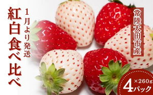 yӂ邳Ɣ[ŁzgHה  4pbN × 1b    C`S Hה   嗱  I t[c  C`S ̂ x _ oX Z  Â ʓ 