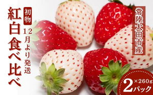 yӂ邳Ɣ[Łzy2026N/s\z gHה  2pbN × 1y12zb    C`S Hה   嗱  I t[c  C`S ̂ x