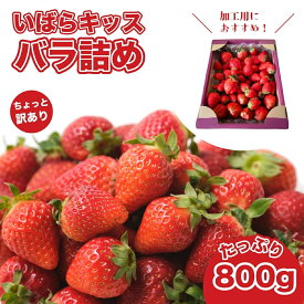 【ふるさと納税】【2026年/先行予約】いばらキッス たっぷり800g 訳あり苺 バラ詰め 加工用 | 茨城県 常陸太田 檜山いちご園 訳あり 香り 大粒 特大 デラックス いちご フルーツ イチゴ 新鮮 朝採れ 大きい 果肉 甘味 品質 健康 果物 デザート 食べ比べ 人気