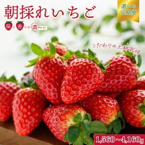 yӂ邳Ɣ[Łzy2026N/s\zyR[XzI Iׂe 2pbN×3 5 4pbN×3 b wR  嗱  ΂LbX ЂP 悢Ђ I t[c