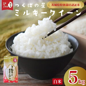 yӂ邳Ɣ[ŁzyVĐs\zߘa7NY ~L[NC[  5kg | ʍ͔|Fؕ 󏭕i    R_@  5kg ߘa7NY R͔|  S S  