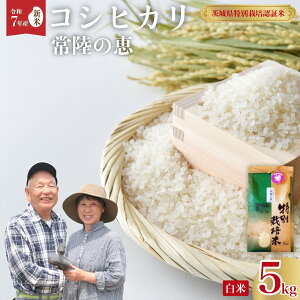 yӂ邳Ɣ[ŁzyVĐs\zߘa7NY ʍ͔|Fؕ Ђ 헤̌b  5kgbʍ͔|Fؕ V RVqJ GAPF X ~l  S S   lC 錧 헤