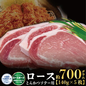 yӂ邳Ɣ[Łzy[Y|[Nz[X Ƃ񂩂E\e[p 700g i140g×5ji錧ʕԗij