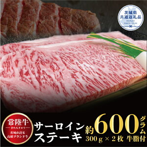 yӂ邳Ɣ[Łzy헤zT[CXe[L 600gi300g×2ji錧ʕԗij