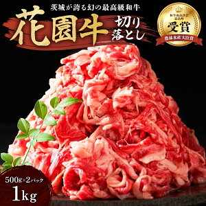 yӂ邳Ɣ[Łzԉ ؂藎Ƃ 1Kg 500g×2pbN јa Y   A4 A5 uh ~ Ԑg o  ē Ⓚ Hה _ѐYb  헤  