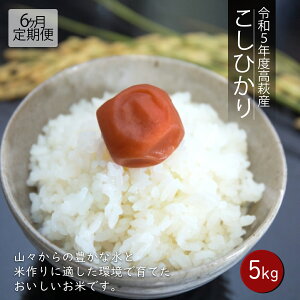 yӂ邳Ɣ[Łzy6ցzߘa7Nx Y RVqJ 5kg×6