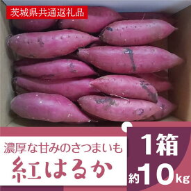 【ふるさと納税】濃厚な甘みさつまいも 紅はるか10kg（茨城県共通返礼品・行方市産）（AK002）