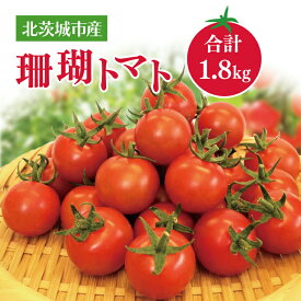 【ふるさと納税】【先行予約】珊瑚トマト　150gパック×12入り【野菜 トマト とまと ミニトマト みにとまと フルーツトマト 新鮮 リコピン ビタミン】（AX202）