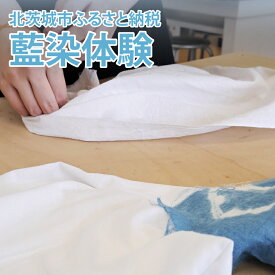 【ふるさと納税】藍染体験(BQ101)