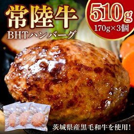 【ふるさと納税】常陸牛　BHTハンバーグ【ひたちぎゅう ひたちうし ジューシー 肉汁 専門店の味】(BY201)