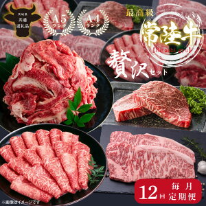 yӂ邳Ɣ[Łzy12ցzōA4.A5N 헤ґZbgylC   a јa Yјa [X Xe[L Y ē Ă o[xL[ BBQ A5 uhz