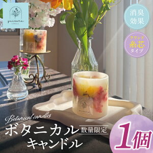 yӂ邳Ɣ[Łz{^jJLh 250gyLh {^jJLh {^jJ CeA 錧 ksz(CX001)