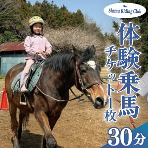 【ふるさと納税】Shiina Riding Club 乗馬体験30分【茨城県 北茨城市 アクティビティ おでかけ レンタル 体験 チケット 馬】(DA001)