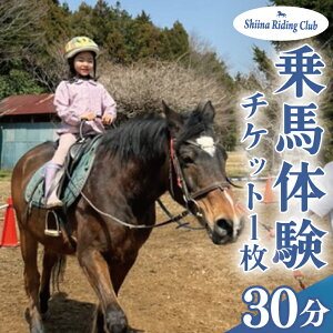 【ふるさと納税】Shiina Riding Club 乗馬体験30分【茨城県 北茨城市 アクティビティ おでかけ レンタル 体験 チケット 馬】(DA001)