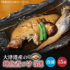 【ふるさと納税】大津港産の地魚煮つけ5選（AA011）
