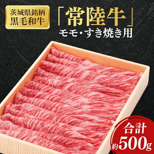 yӂ邳Ɣ[Łz錧јa헤Ăp500gyuh  јa Ђイ ǎ ~ Ⓚz(AL147)