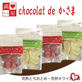 【ふるさと納税】Chocolat de かさま おかしな果実ショコラ 完熟とちおとめ・キウイセット