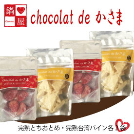 【ふるさと納税】Chocolat de かさま おかしな果実ショコラ 完熟とちおとめ・台湾パインセット