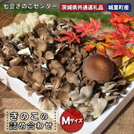 【ふるさと納税】きのこ 詰め合わせ Mサイズ（茨城県共通返礼品・城里町産）