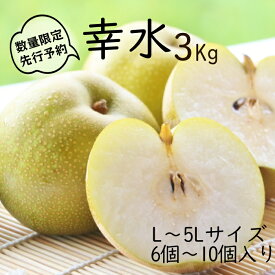 【ふるさと納税】【先行予約】柴沼梨園の梨（幸水）3kg