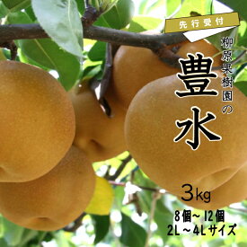 【ふるさと納税】【先行受付】梨 豊水 3kg 2L～4L 8～12個 柳原果樹園