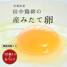 【ふるさと納税】田中鶏卵の産みたて卵（60個）