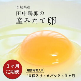 【ふるさと納税】【3ヶ月定期便】田中鶏卵の産みたて卵（60個）