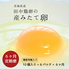 【ふるさと納税】【6ヶ月定期便】 田中鶏卵の産みたて卵（60個）