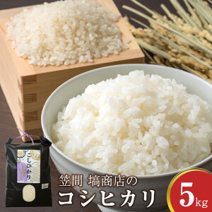 【ふるさと納税】令和7年度産 笠間 塙商店の コシヒカリ 5kg 米 新米 精米 ブランド米 お米 白米 国産 おにぎり 弁当 R7年産 ごはん おいしい 旨い ふっくら お米 茨城県 笠間市 いばらき