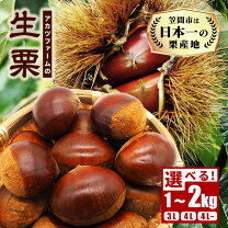 楽天市場】笠間 の 栗の通販