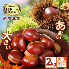 【ふるさと納税】 生栗 栗 選べる 2kg 2L 3L～ 特大 数量限定 国産 和栗 くり クリ スイーツ 果物 フルーツ 栗きんとん モンブラン 栗ご飯 栗ごはん 秋 旬 低温熟成 ギフト プレゼント 農産物直売所すわ 笠間市 栗生産量 日本一 茨城県 いばらき