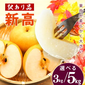 【ふるさと納税】【2026年先行予約】 梨 訳あり 新高 選べる 3kg 5kg 大玉 4～14個 柴沼梨園 訳アリ わけあり ナシ なし 茨城 新高梨 秋 旬 フルーツ 果物 【9月下旬～10月上旬発送】 秋の味覚 旬の果物 くだもの 大きい サイズ 産地 送料無料