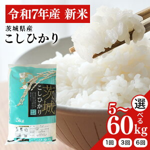 yӂ邳Ɣ[Łz ߘa7NY V RVqJ  Iׂ 5kg 10kg  30kg (3) 60kg (6)   Ђ Y Y ͂  R  ٓ ٓ ɂ _ƒ Y