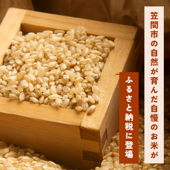 お米令和7年茨城県つくば市産にじのきらめき玄米30kg 農家直売自家栽培米