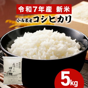 yӂ邳Ɣ[Łz_Y ߘa7NY RVqJ 5kg    Ђ Y Y ͂  R  ٓ ٓ ɂ _ƒ Yn ɏ Mtg v[g 
