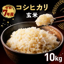 楽天市場】茨城 コシヒカリ 玄米の通販