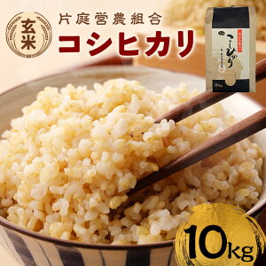 yӂ邳Ɣ[Łz RVqJ  10kg ߘa7NY V R7NY Ђ   R  Y ͂  ܂  ٓ ٓ ɂ 10L 錧 }Ԏs ΂炫