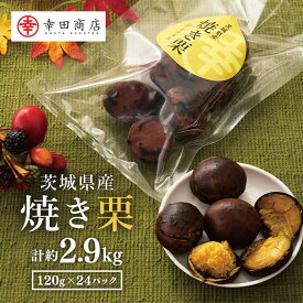 【ふるさと納税】茨城県産 焼栗 12個セット×2 焼き栗 栗 国産 個包装 くり 和栗 甘栗 ギフト プレゼント 秋 旬 おやつ スイーツ 果物 フルーツ 電子レンジ レンジ調理 栗ご飯 栗ごはん 栗ジャム 栗きんとん モンブラン やきぐり 幸田商店 先行予約 笠間 茨城 いばらき