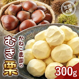 【ふるさと納税】【2026年先行予約】 笠間の栗 かねこ農園のむき栗（300g×1パック） 数量限定 栗 くり クリ むき栗 国産 国産栗 和栗 果物 フルーツ ギフト プレゼント 秋 旬 おやつ 笠間 かさま 茨城県 いばらき