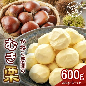 【ふるさと納税】【2026年先行予約】 笠間の栗 かねこ農園のむき栗（300g×2パック） 数量限定 栗 くり クリ むき栗 国産 国産栗 和栗 果物 フルーツ ギフト プレゼント 秋 旬 おやつ 笠間 かさま 茨城県 いばらき