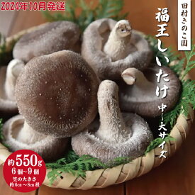 【ふるさと納税】【2024年10月発送】福王しいたけ 中〜大サイズ 約550g しいたけ 椎茸