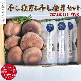 【ふるさと納税】【2024年11月発送】福王しいたけ 干し椎茸 セット しいたけ 椎茸