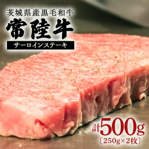 yӂ邳Ɣ[Łz헤 500g Xe[Lp јa Y 錧Y