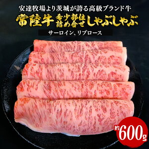yӂ邳Ɣ[Łz헤 Ԃ 600g 󏭕ʂ܂lߍ킹 Bq