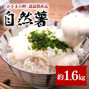yӂ邳Ɣ[Łz R 1.6kg ɓ_
