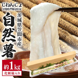 yӂ邳Ɣ[ŁzR 1kg R  R Ƃ Ƃ낲  ˂΂˂ NHi e }ԎsY 錧Y h{Ղ MtgɍœK VN Y  e N 