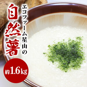 yӂ邳Ɣ[ŁzR 1.6kg GRt@[R